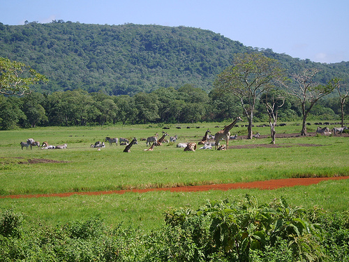 Arusha National Park